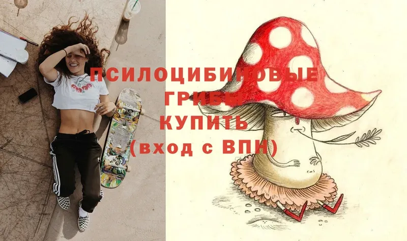 купить наркотики сайты  Омск  Галлюциногенные грибы Magic Shrooms 